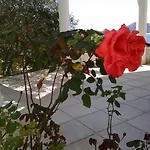 Kod Ilje I Seke * Првич Шепурине
