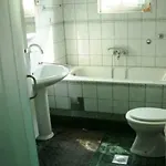 Apartment Kod Ilje I Seke