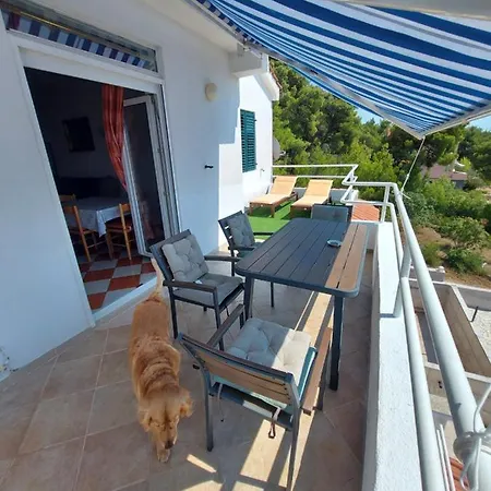 Kod Ilje I Seke Apartment