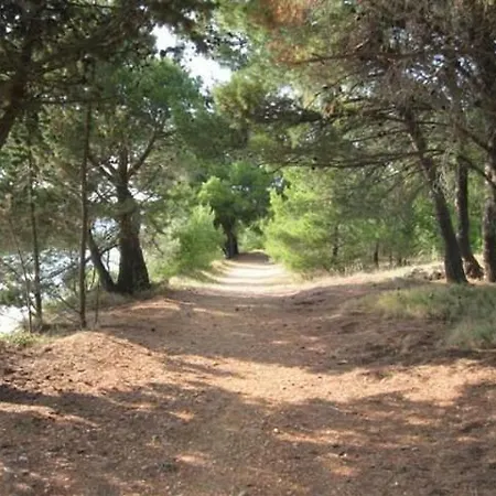 Apartman Kod Ilje I Seke *