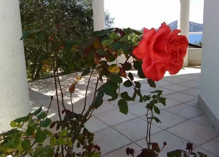 Kod Ilje I Seke * Prvic Sepurine